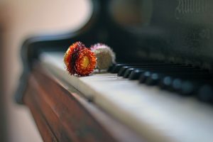Klasik Müzik Testi